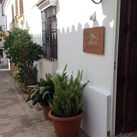Tribeca Boutique מארבלה